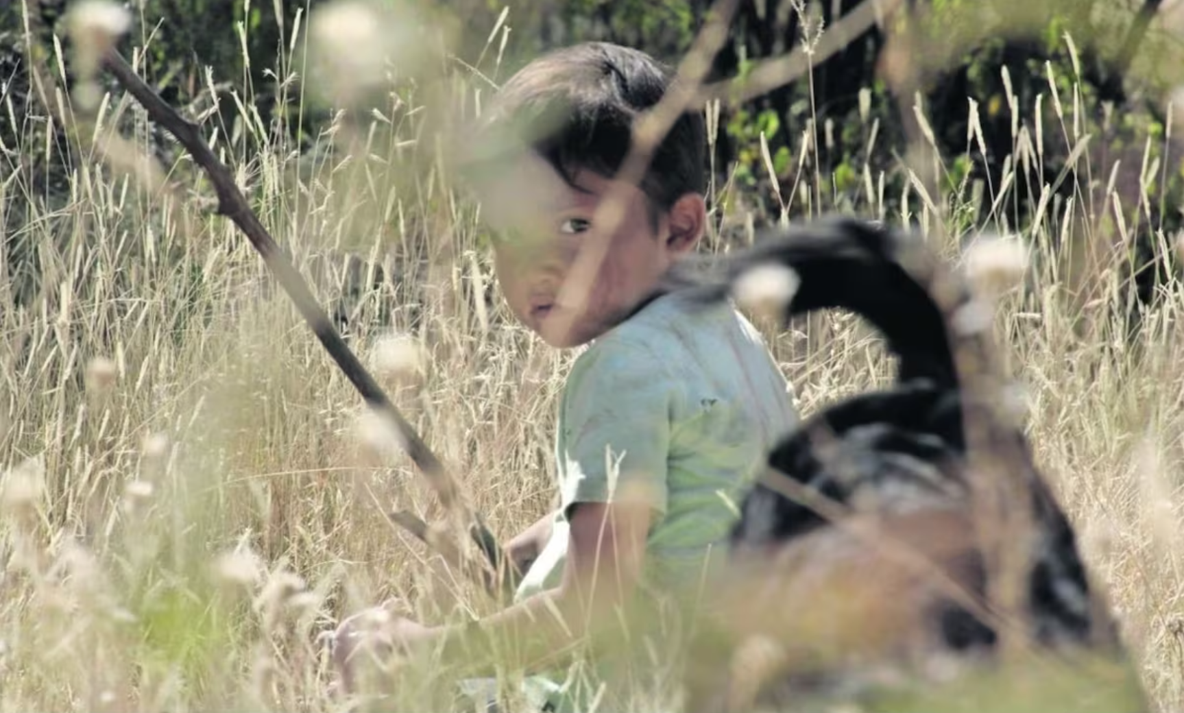 La película mexicana Sujo obtiene el X Premio de la Cooperación Española