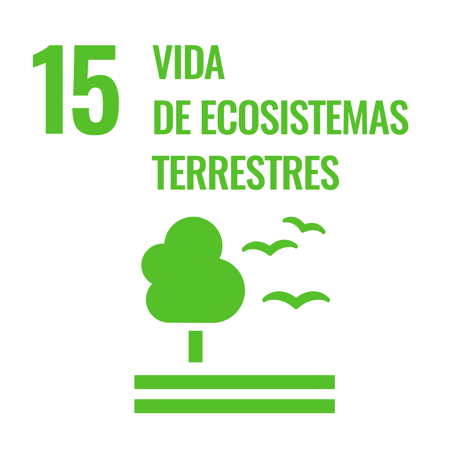 ODS 15. Vida de ecosistemas terrestres